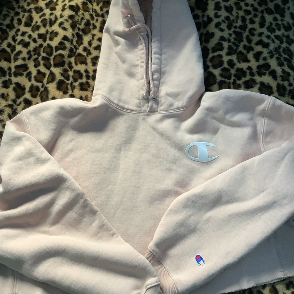 Champion cropped hoodie